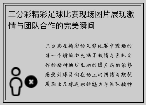 三分彩精彩足球比赛现场图片展现激情与团队合作的完美瞬间