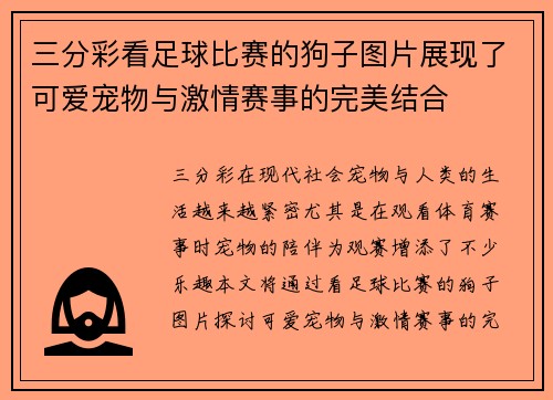 三分彩看足球比赛的狗子图片展现了可爱宠物与激情赛事的完美结合