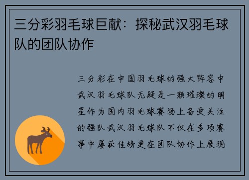 三分彩羽毛球巨献：探秘武汉羽毛球队的团队协作